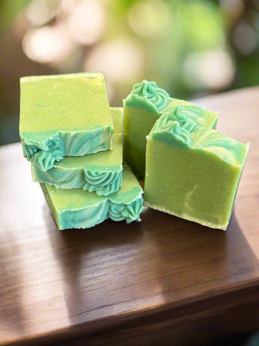 Coconut kiwi shampoo bars