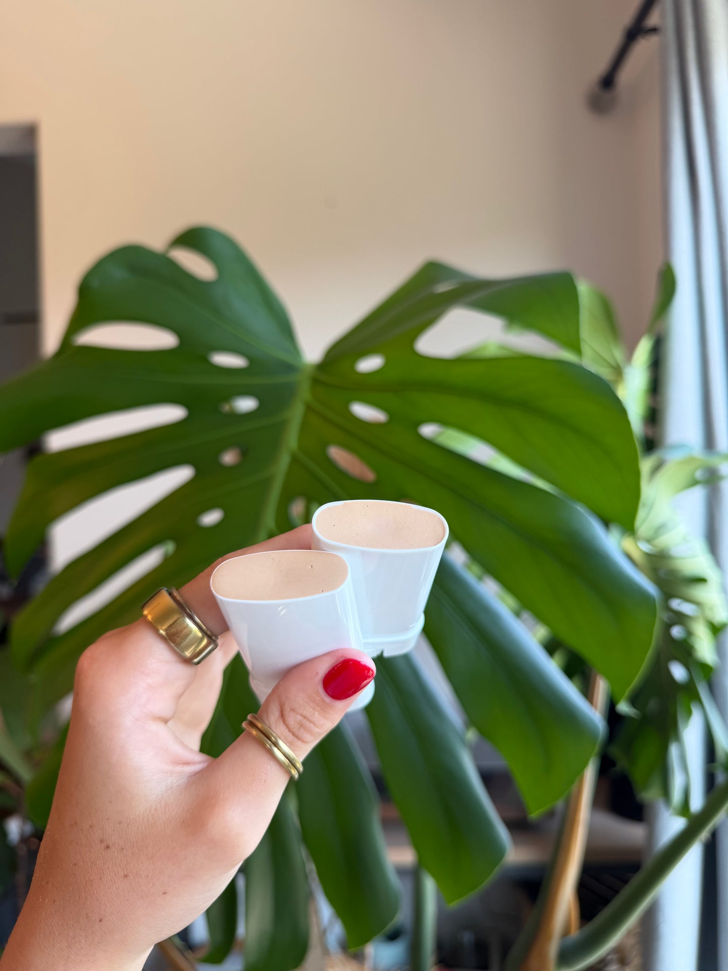 Sunscreen Tallow Stick