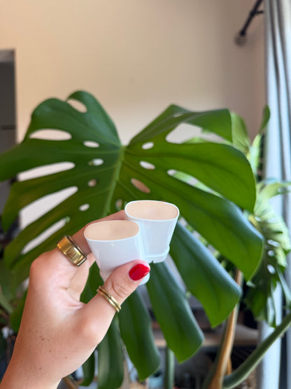 Sunscreen Tallow Stick